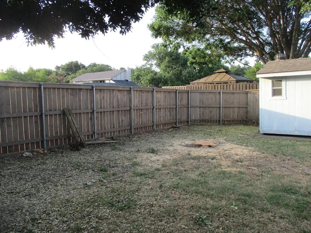 Cleared yard after professional tree removal in West Salisbury